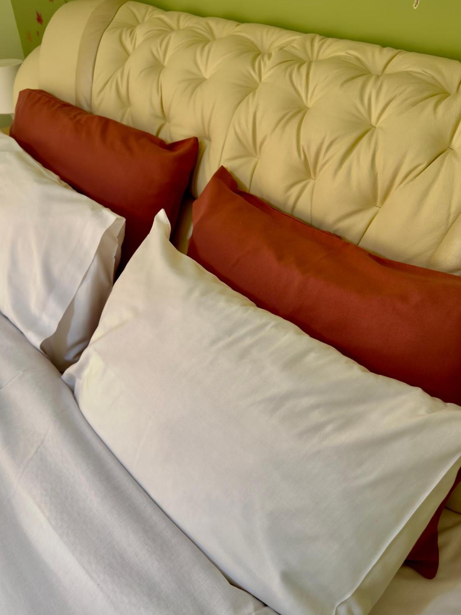 Luxury In The Center Edessa